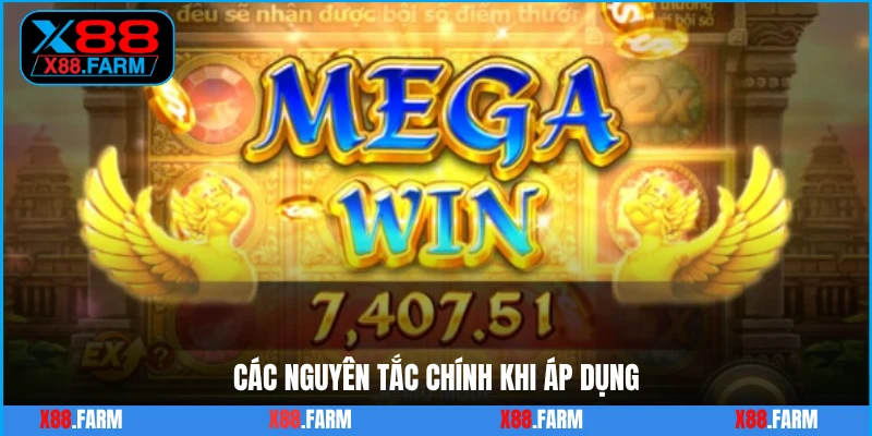 Các nguyên tắc chính khi áp dụng