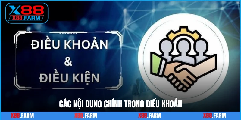 Các nội dung chính trong điều khoản