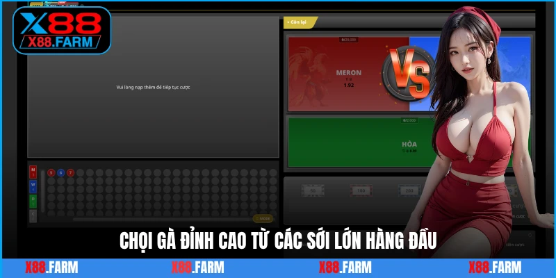 Chọi gà đỉnh cao từ các sới lớn hàng đầu