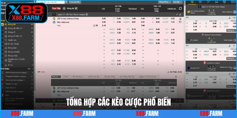 Tổng hợp các kèo cược phổ biến